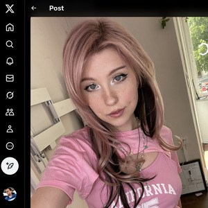 Linzor, Twitter Porn Accounts