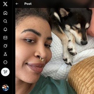 Demi Sutra, Twitter Porn Accounts