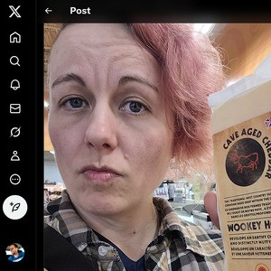 Bayesia Nash, Twitter Porn Accounts