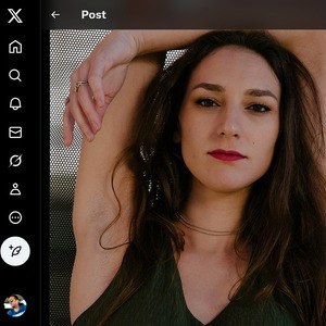 Andi Rose, Twitter Porn Accounts