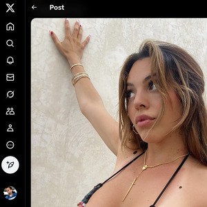 Danielley Ayala, Twitter Porn Accounts