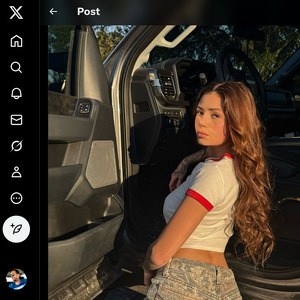 KaitViolet, Twitter Porn Accounts