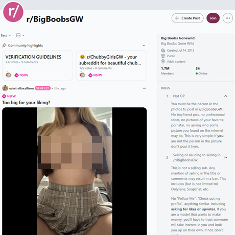 Reddit BigBoobsGW