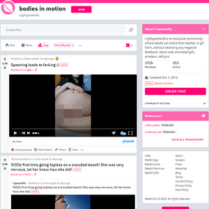 GifsGoneWild, Reddit NSFW List