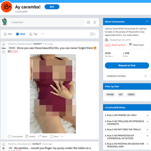 LatinasGW, Reddit NSFW List