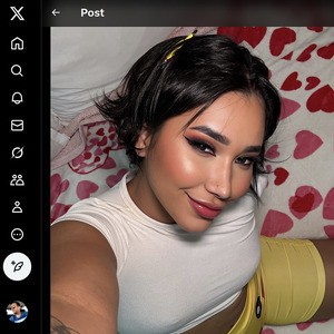 Anna Beggion, Twitter Porn Accounts