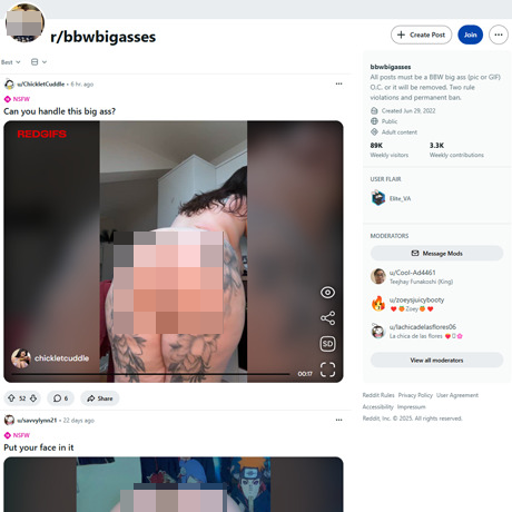 Reddit BBW Big Asses