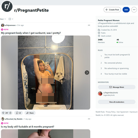 Reddit PregnantPetite