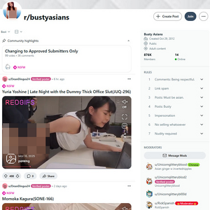 Reddit Busty Asians, Asian Porn Sites