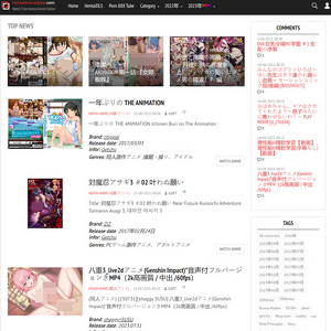 HentaiAnimeZone, エロアニメポルノサイト