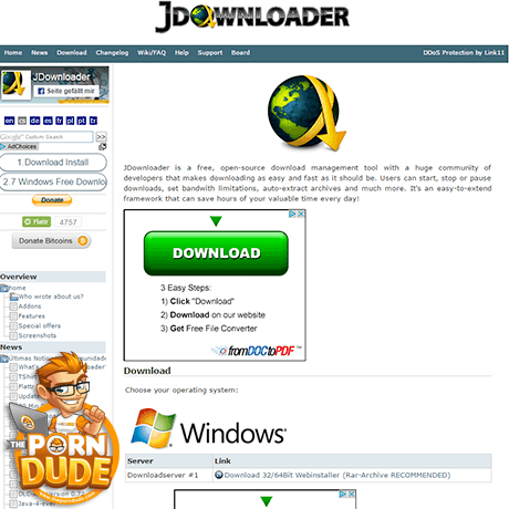 JDownloader