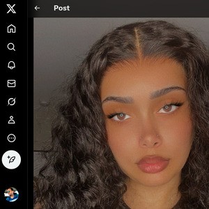Aaliyah Hadid, Twitter Porn Accounts