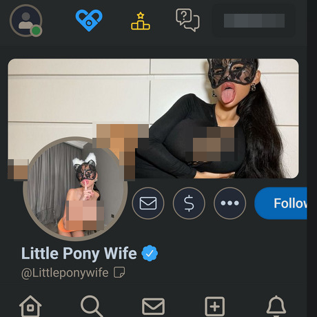 Little Pony Wife