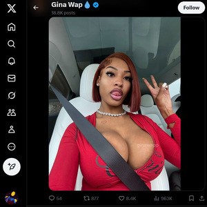 Gina Wap, Twitter Porn Accounts
