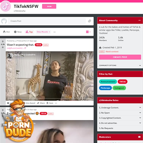 TikTokNSFW
