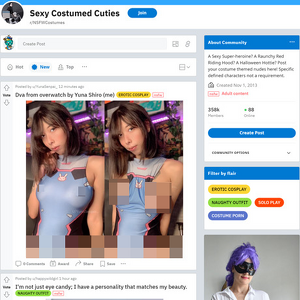 NSFWCostumes, Reddit NSFW List