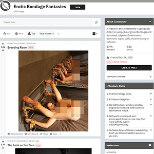 Bondage, Reddit NSFW List