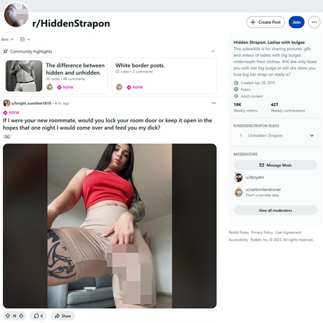 Reddit Hidden Strapon