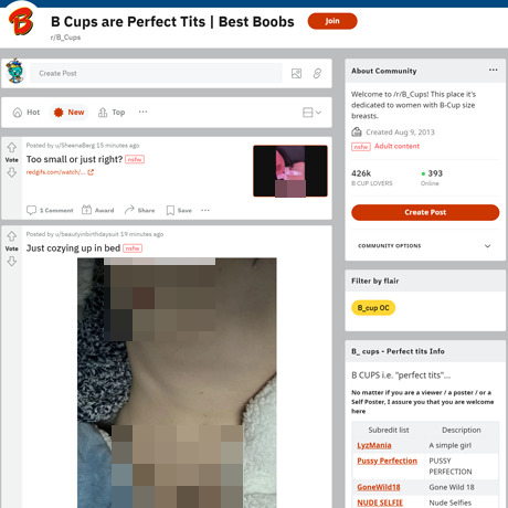 Reddit B Cups