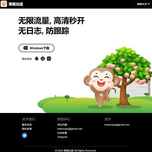 黑猴加速, 最好的VPN网站