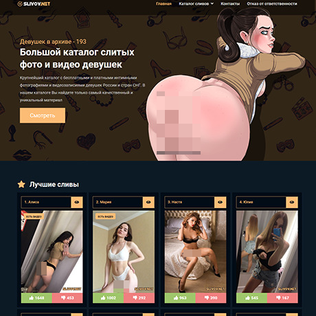 SlivovNet