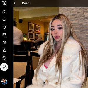 MeowBarbie, Twitter Porn Accounts