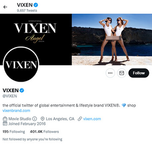 Vixen, Twitter Porn Accounts