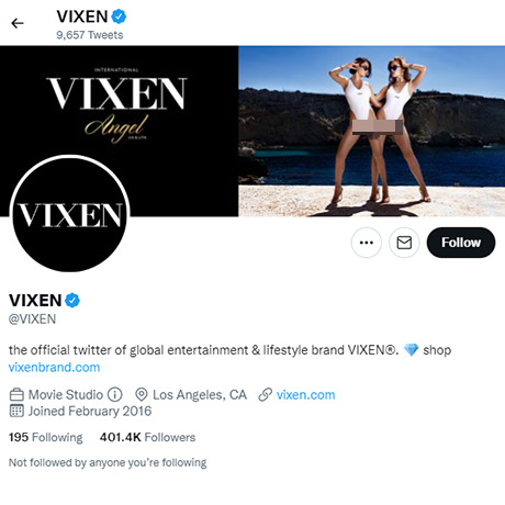 Vixen