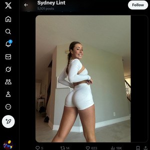 Sydney Lint