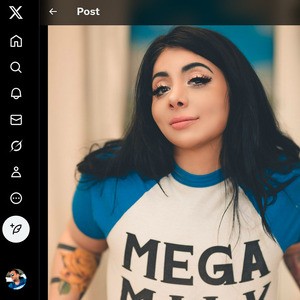 Momokun, Twitter Porn Accounts