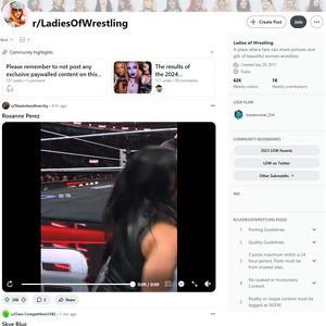 Reddit Ladies Of Wrestling, Wrestling Porn Sites