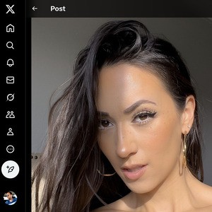 Sarah Illustrates, Twitter Porn Accounts