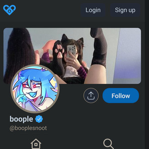 BooplesNoot, Best Fansly Girls List