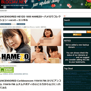 BlogJAV