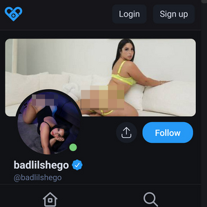 BadLilSheGo, Best Fansly Girls List