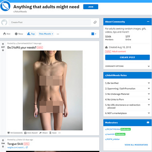 AdultNeeds, Reddit NSFW List