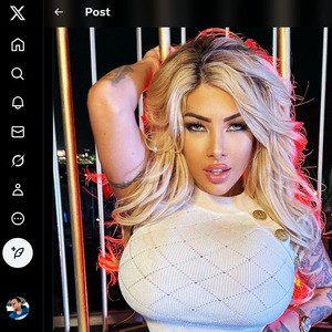 Kitana Montana, Twitter Porn Accounts