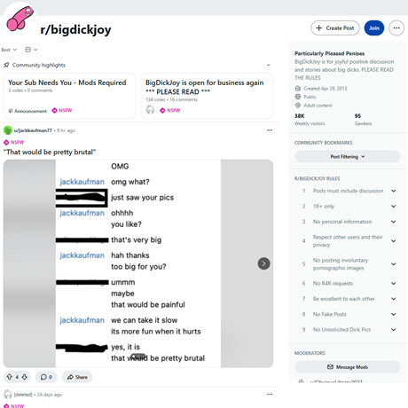 Reddit BigDickJoy