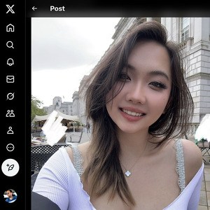 Harriet Sugarcookie, Twitter Porno Hesapları