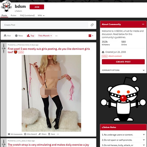 BDSM, Reddit NSFW List