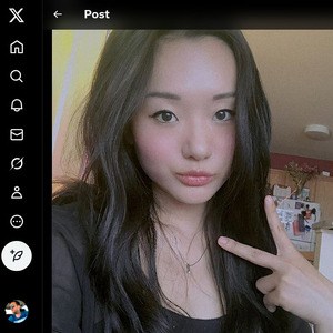 Alina Li, Twitter Porn Accounts