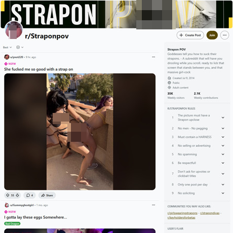 Reddit Strapon POV