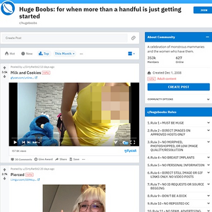 HugeBoobs, Reddit NSFW List