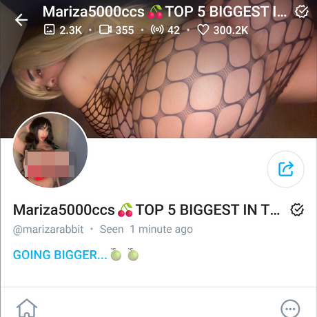 Mariza Rabbit