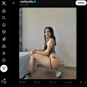 WettPolly, Twitter Porno Hesapları