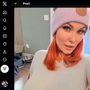 Taylor Gunner, Twitter Porn Accounts