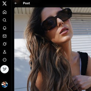 Kelly Aleman, Twitter Porn Accounts