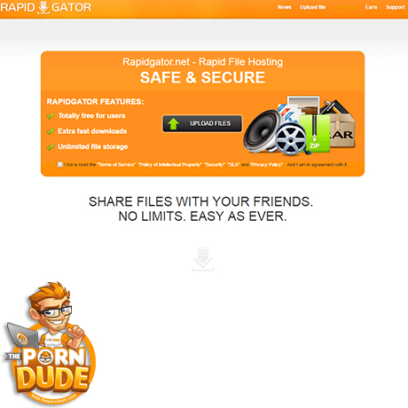 RapidGator.net