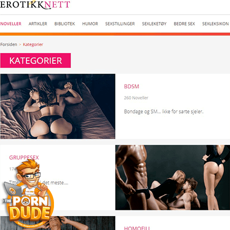 Erotikknett