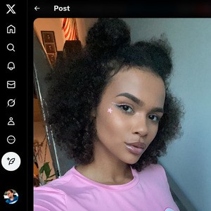 Alina Ali, Twitter Porn Accounts
